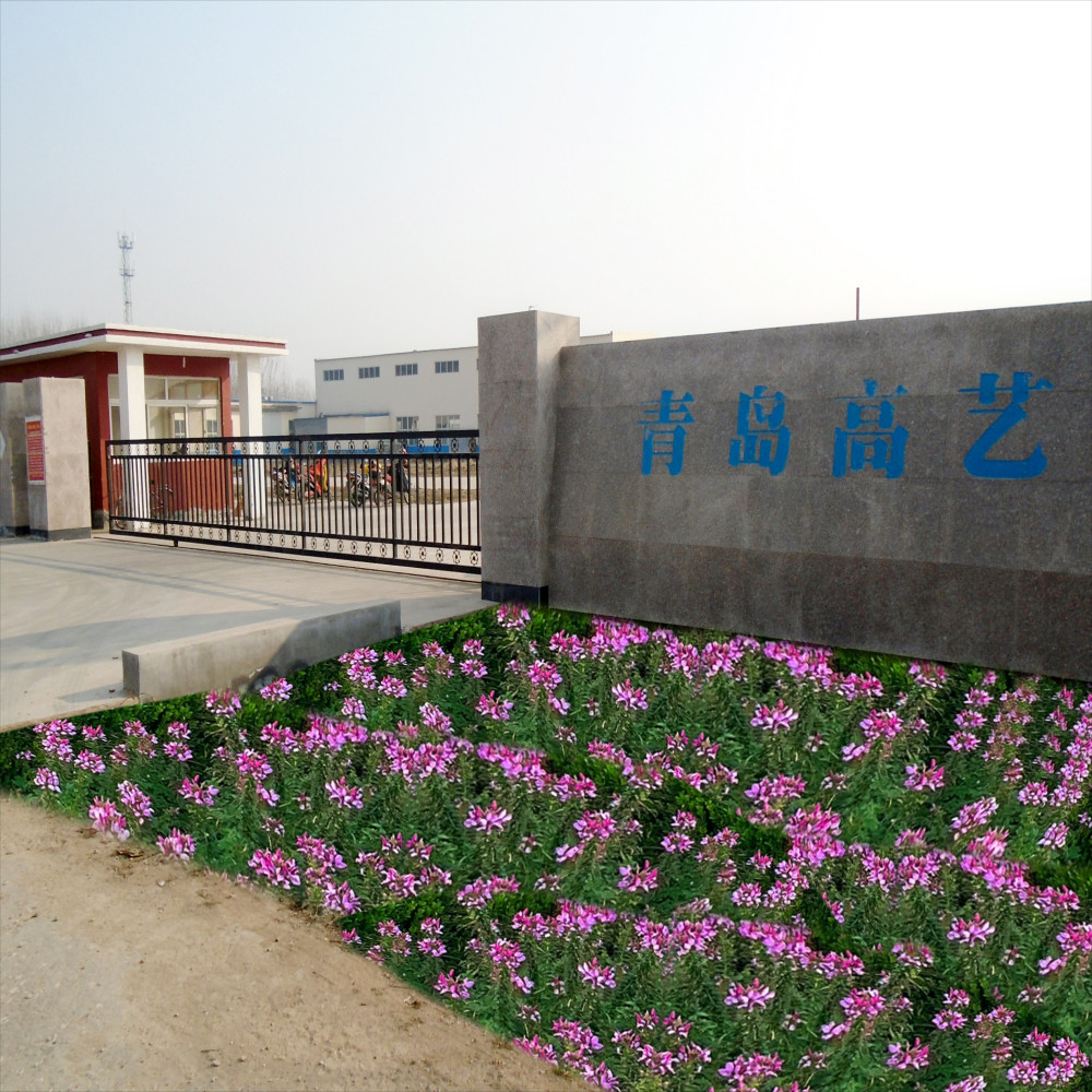 Κίνα Qingdao High Art Glass Co., Ltd.